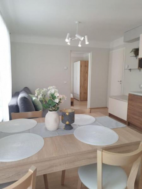 Cozy apartament near bus station